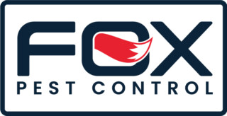 JPG logo