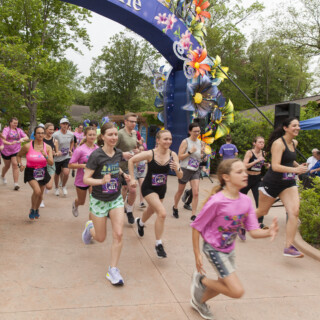 Glo Wild Mile Start