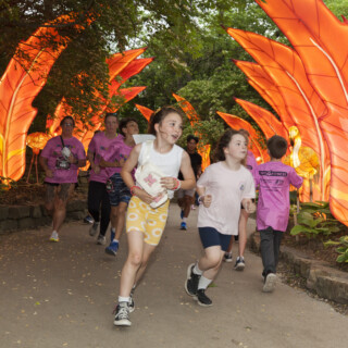 Glo Wild Mile Flamingo