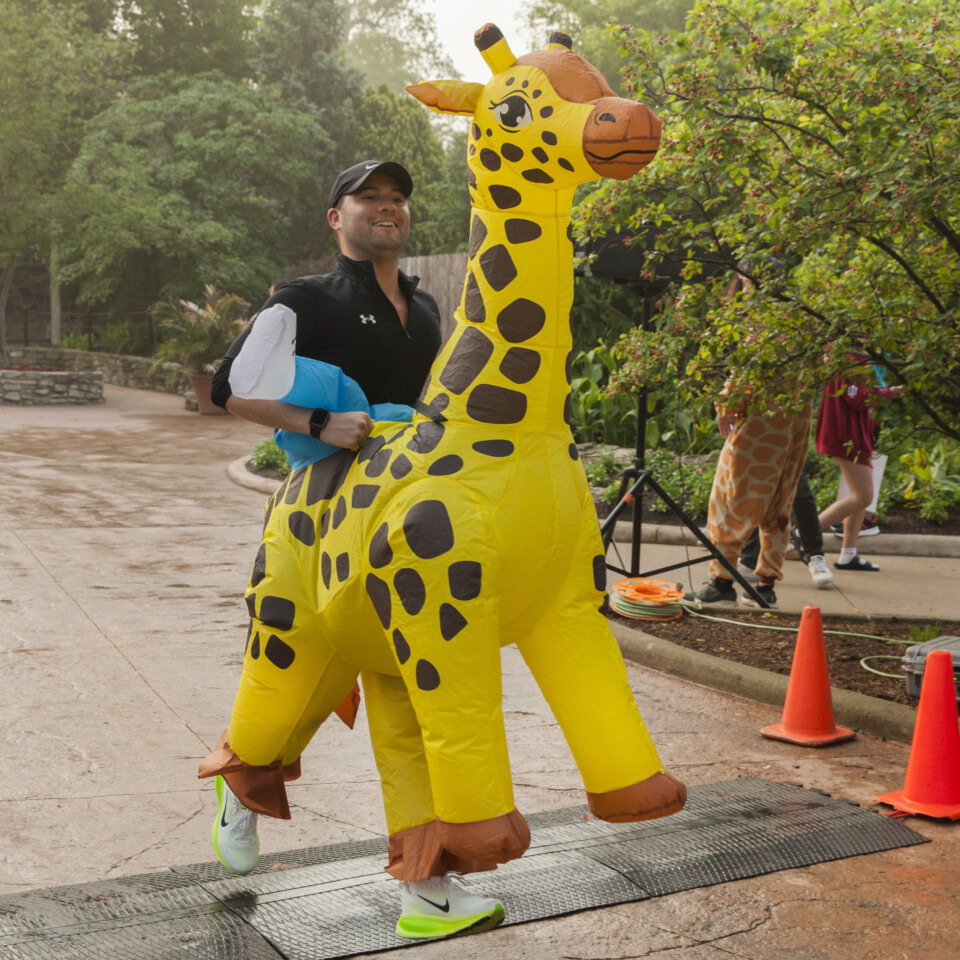Run Wild Giraffe