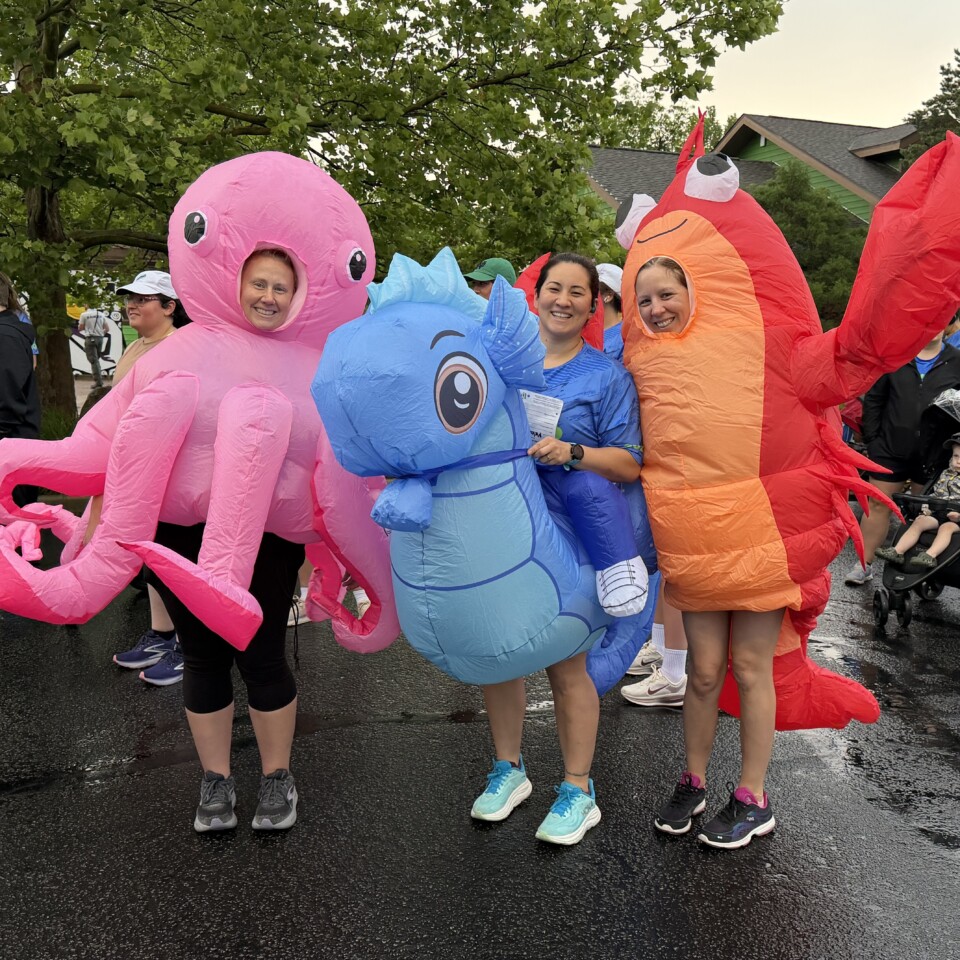 Sea creatures